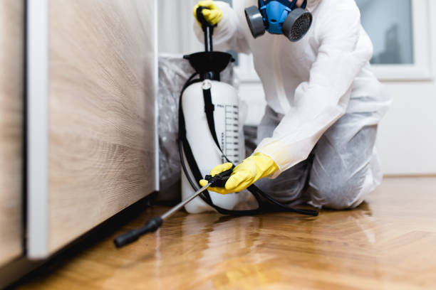Best Wildlife Control Services  in Wilmington Island, GA