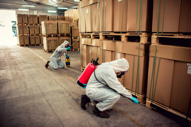 Best Mosquito Control Services  in Wilmington Island, GA