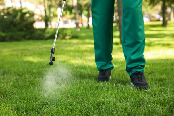 Professional Pest Control in Wilmington Island, GA