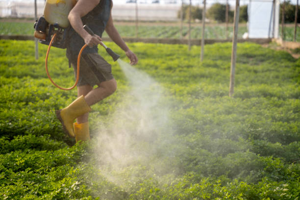 Best Best Pest Control Companies  in Wilmington Island, GA