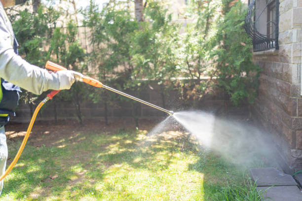 Best Affordable Pest Control Services  in Wilmington Island, GA