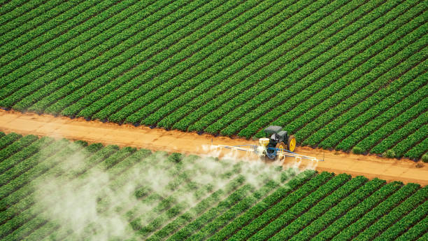 Best Pest Control Treatment  in Wilmington Island, GA