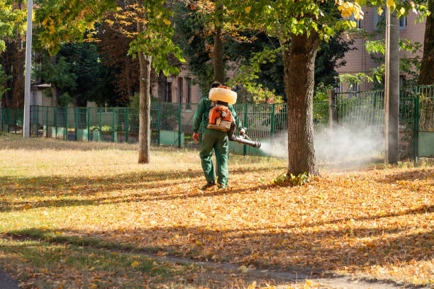 Best Commercial Pest Control Services  in Wilmington Island, GA