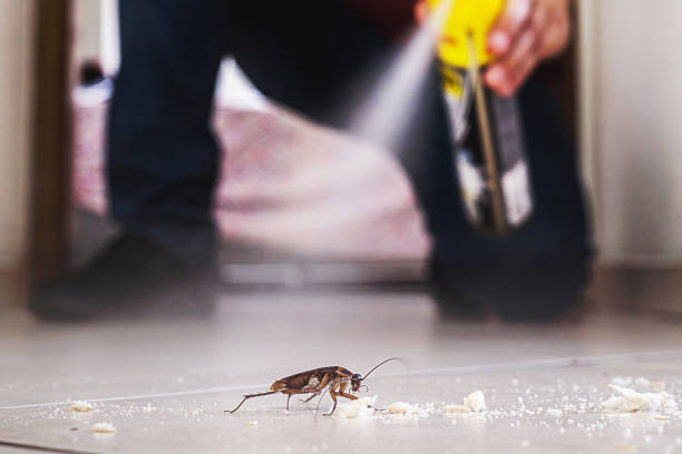 Best Residential Pest Control  in Wilmington Island, GA