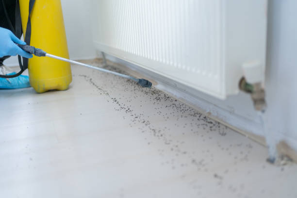 Best Pest Prevention Services  in Wilmington Island, GA