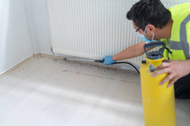 Best Pest Removal Services  in Wilmington Island, GA