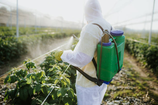 Best Pest Control Near Me  in Wilmington Island, GA
